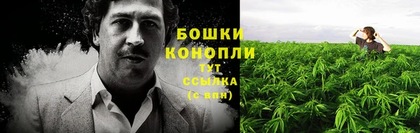 круглые Аркадак